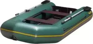 Моторно-гребная лодка Leader Boats Чирок-290 (зеленый) фото