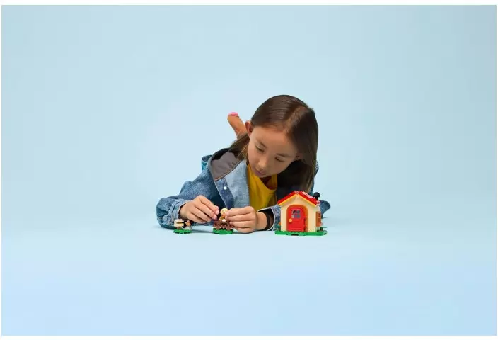 Конструктор Lego Animal Crossing 77058 Уютный домик Голди фото