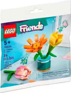 Конструктор LEGO Friends Уникальные наборы. Букет цветов 30634 фото