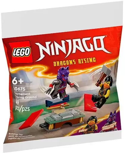 Lego Ninjago 30675 Турнирная тренировочная площадка