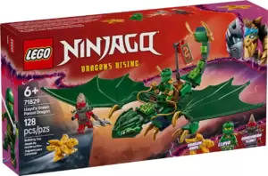 Конструктор Lego Ninjago Зеленый лесной дракон Ллойда 71829 фото