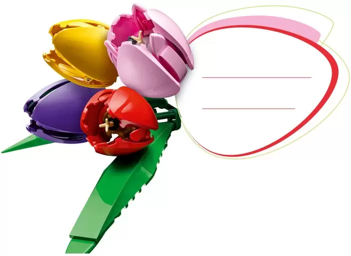 Конструктор Lego The Botanical Collection 11501 Букет Тюльпанов фото