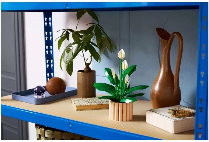 Конструктор Lego The Botanical Collection 11504 Мирная лилия фото