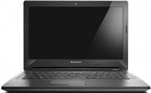 Ноутбук Lenovo G40-45 (80E1006PPB) фото