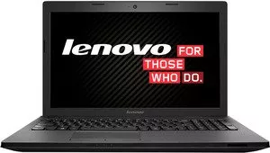 Ноутбук Lenovo G505 (59412809) фото