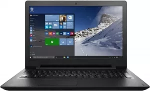 Ноутбук Lenovo IdeaPad 110-15ACL (80TJ004XRK) фото