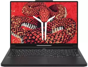Ноутбук Lenovo Legion R9000P ADR10 83LV0004CD