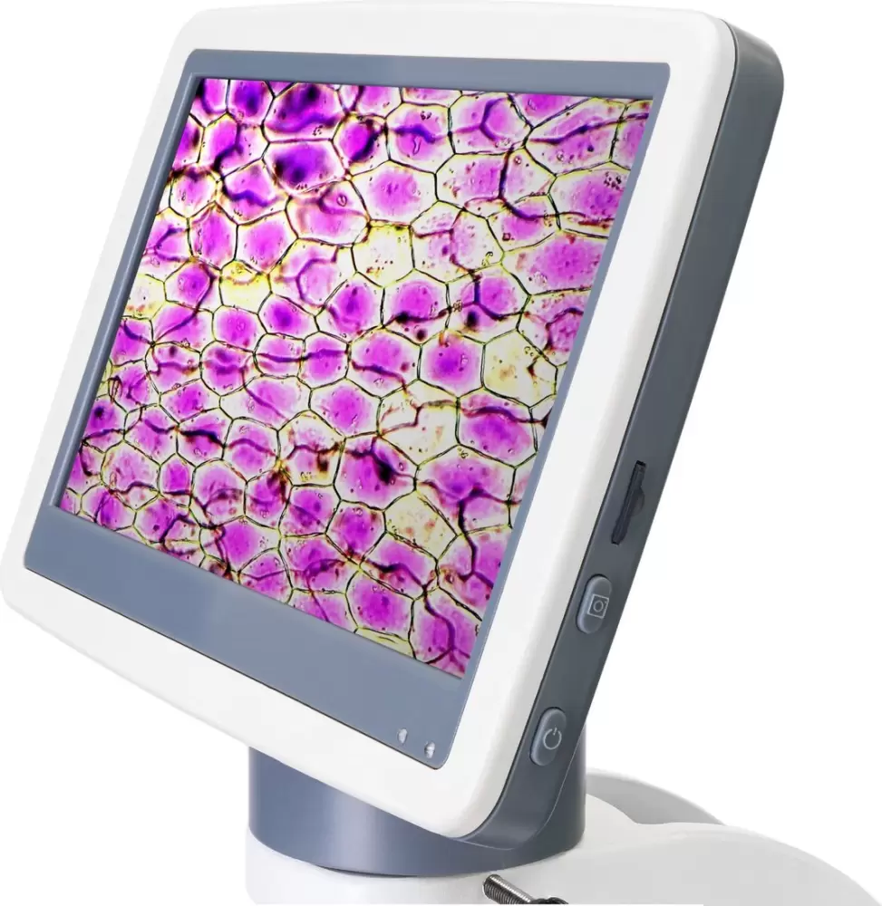 Микроскоп Levenhuk D85L LCD 78902 фото 2