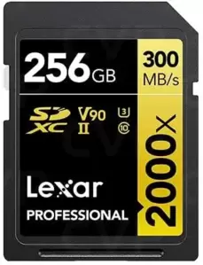 Карта памяти Lexar Professional 2000x SDXC LSD2000256G-BNNNG 256GB фото