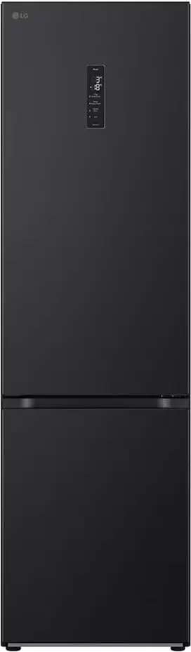 LG Door Cooling+ GBV5250EEP