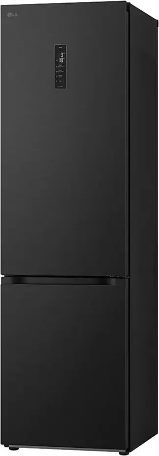 Холодильник LG Door Cooling+ GBV5250EEP фото