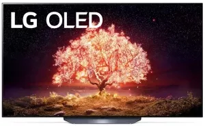 Телевизор LG OLED65B1RLA фото