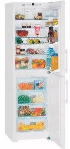 Холодильник Liebherr CN 3913 фото