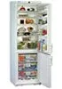 Холодильник Liebherr KGTes 4036 фото