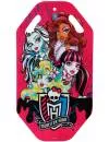 Санки-ледянка 1TOY Т56339 Monster High icon