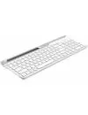 Клавиатура A4Tech Fstyler FBK25 (белый/серый) фото 4