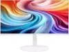 Моноблок Acer Aspire C24A DQ.BNCCD.007 icon