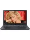 Ноутбук Acer Extensa 2519-P07G (NX.EFAER.059) icon