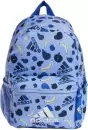 Школьный рюкзак Adidas Kids Printed Fruits JG1415 (синий/голубой) icon 3