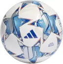 Минифутбольный мяч Adidas Pro Sala UEFA Champions League 23/24 icon