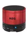 Портативная акустика AEG BSS 4826 фото 2