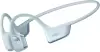 Наушники AfterShokz OpenRun Pro 2 Standard (голубой) icon