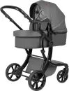 Детская универсальная коляска Aimile Spring / ASR-2 (Dark Grey) icon