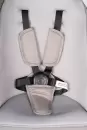 Детская универсальная коляска Aimile Spring / ASR-4 (Latte) icon 3