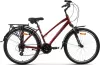 Велосипед AIST Cruiser 2.0 W р.19 2025 (красный) icon