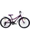 Велосипед AIST Rosy Junior 1.0 24 2025 (фиолетовый) icon