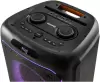 Колонка для вечеринок Aiwa CAS-910 фото 4