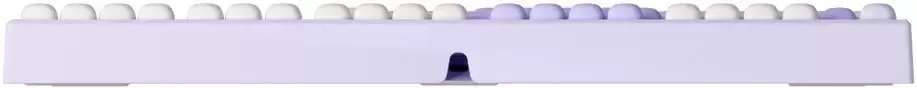 Клавиатура Akko MG108B Magic Lop Bunny (Akko V3 Piano Pro) фото 4