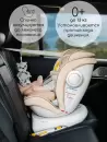 Детское автокресло Amarobaby Champion Isofix / AMARO-2008CH-Gr (графит) icon 4