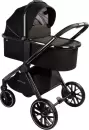 Детская универсальная коляска Amarobaby Motus V2 (черный) icon