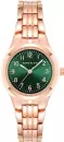 Наручные часы Anne Klein 10/5490GNRG icon