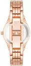 Наручные часы Anne Klein 10/5490GNRG icon 2
