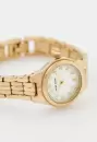 Наручные часы Anne Klein 10/5490MPGB icon 2