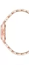 Наручные часы Anne Klein 10/5490MPRG icon 2