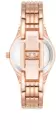 Наручные часы Anne Klein 10/5490MPRG icon 3