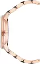 Наручные часы Anne Klein 1412BTRG icon 2
