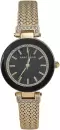Наручные часы Anne Klein 1906BKGB icon
