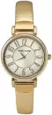 Наручные часы Anne Klein 2156CHGD icon