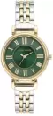 Наручные часы Anne Klein 2159GNTT icon