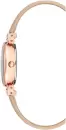 Наручные часы Anne Klein 2246RGBH icon 2