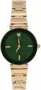 Наручные часы Anne Klein 2434GNRG icon
