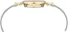 Наручные часы Anne Klein 3003SVTT icon 3