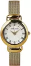 Наручные часы Anne Klein 3806SVGB icon