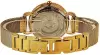 Наручные часы Anne Klein 3806SVGB icon 3