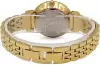 Наручные часы Anne Klein 3872CHGB icon 2