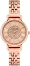 Наручные часы Anne Klein 3872RGRG icon